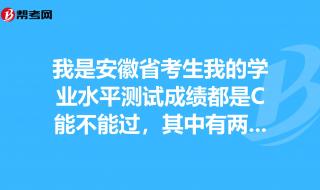 请问一下安徽的会考学业水平测试怎么算过